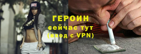 сатива Инта
