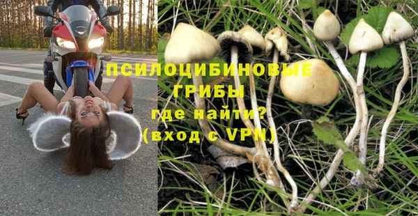 сатива Инта