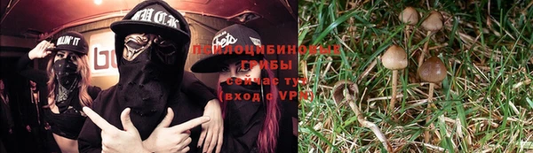 стафф Карталы