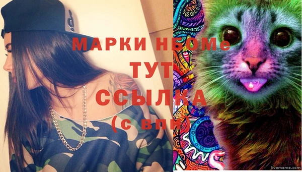spice Каменногорск